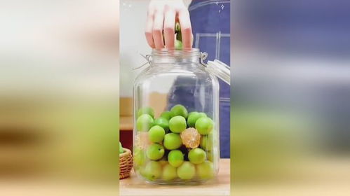 夏日冰飲罐 檸檬百香果玻璃罐與無脊椎動(dòng)物的奇妙聯(lián)想