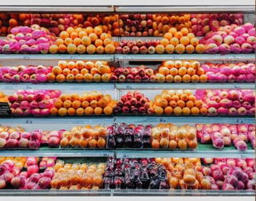 社交媒體重塑商業(yè)生態(tài) 無脊椎動(dòng)物視角下的電商與消費(fèi)市場(chǎng)變革