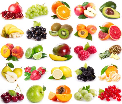 生機(jī)與靜美 白色背景下的水果與無脊椎動(dòng)物攝影素材賞析